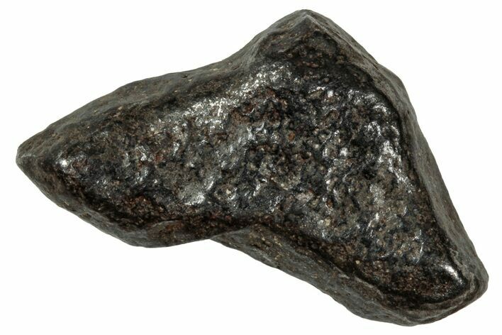 Gibeon Iron Meteorite ( g) - Namibia #334703
